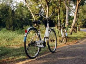 kerékpárral a Fertő tó körül